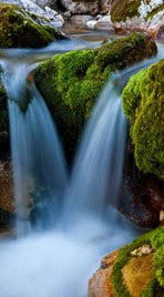 Цитаты фразы и афоризмы о жизни